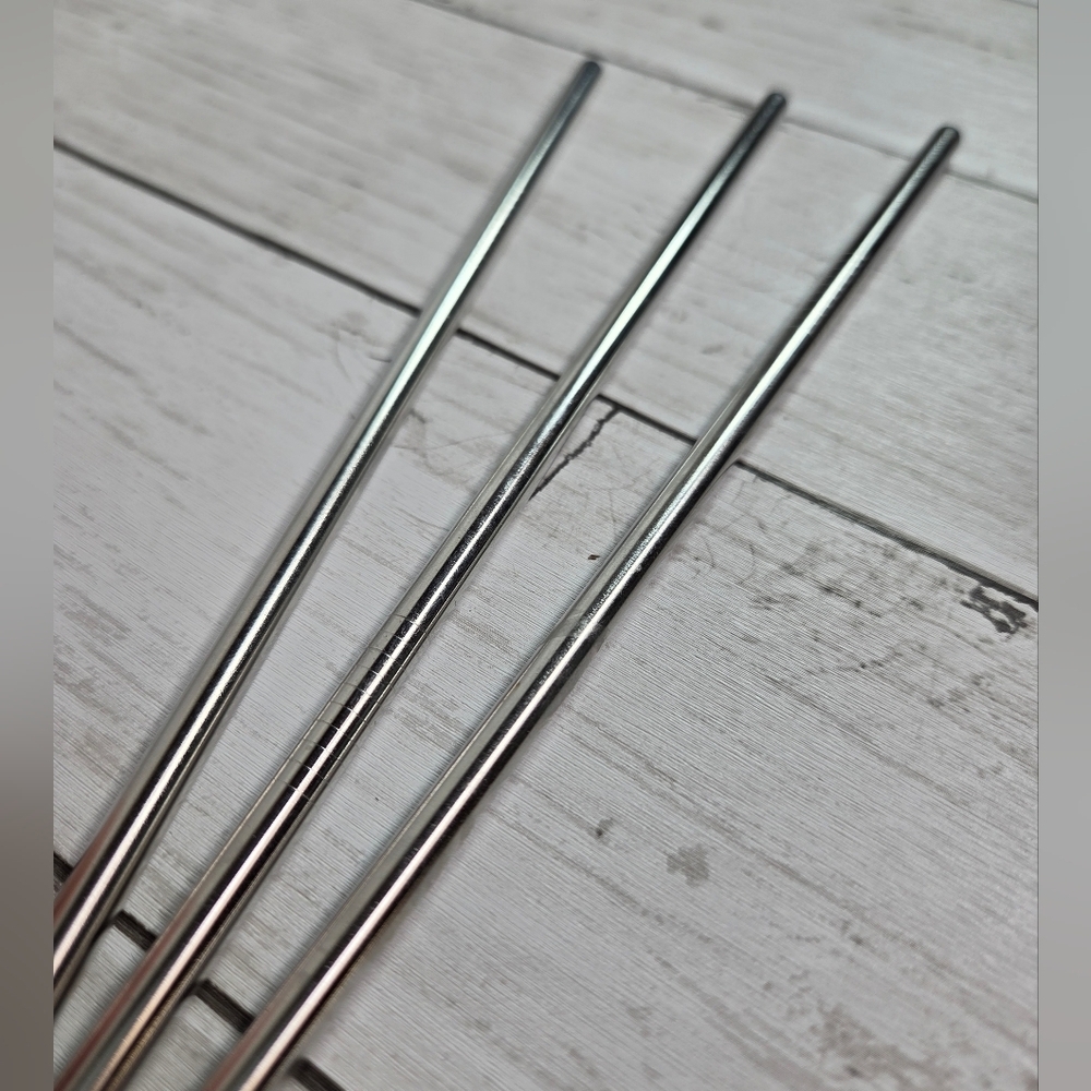 Stainless Steel Straws - Set of 3 NWOT
